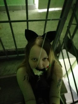 Москва (915)0085663